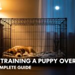Crate Training a Puppy Overnight The Complete Guide to Peaceful Nights