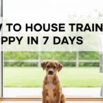 How to House Train a Puppy in 7 Days A Practical, Realistic Plan That Works