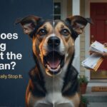 Why Does My Dog Bark at the Mailman Every Day (The Complete Guide)